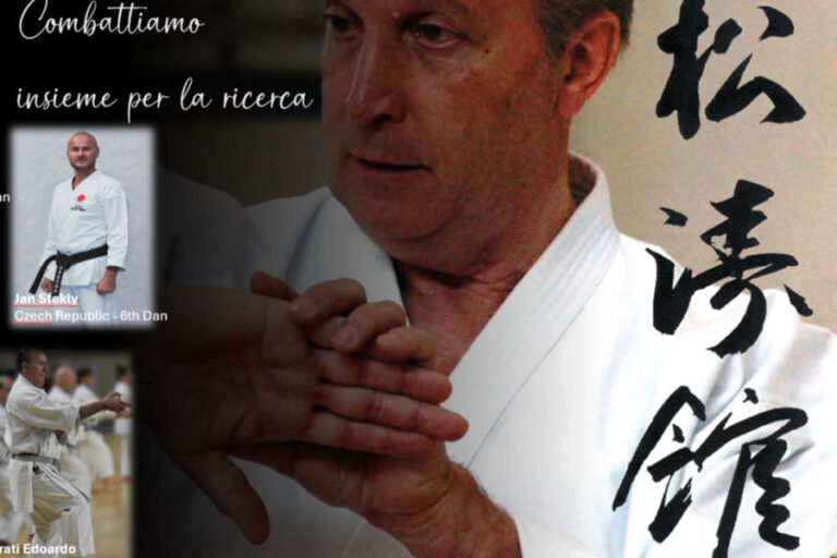 Seminario tecnico di Karate